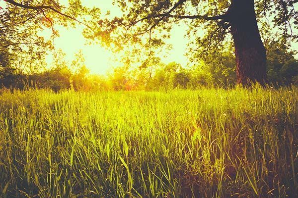 naturaleza