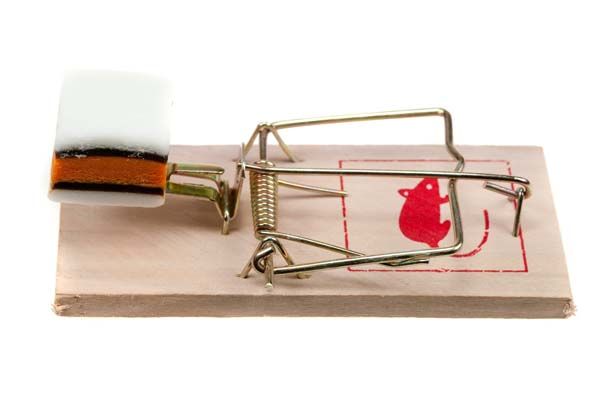 Un estudio sobre los atracones en ratones revela pistas sobre la obesidad