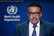 Mensaje del Dr. Tedros, Director General de la OMS, sobre salud laboral