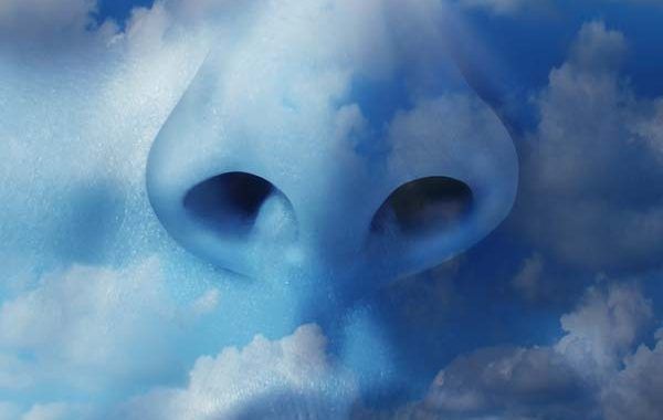 Las razones por las que un medidor de CO2 no es suficiente para determinar la calidad del aire