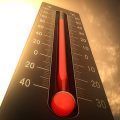 calor