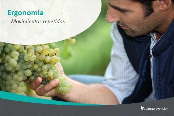 ¿Sabes cómo podríamos evitar o reducir los movimientos repetitivos?