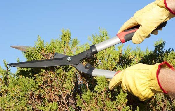 Riesgos y medidas preventivas en  trabajos en la vía pública