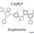 glifosato