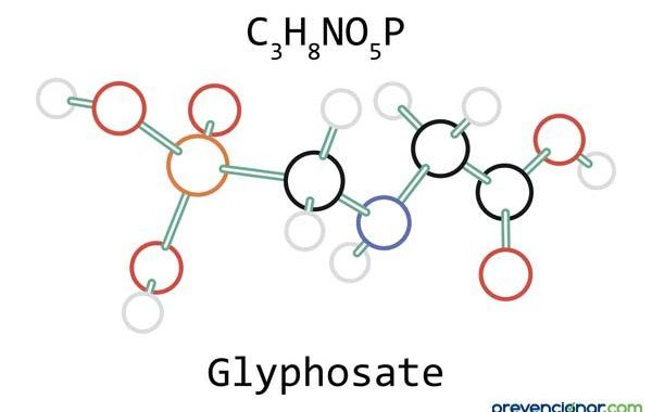Bayer insiste en que el glifosato no causa cáncer