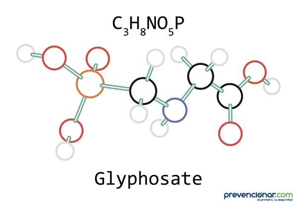 Bayer insiste en que el glifosato no causa cáncer