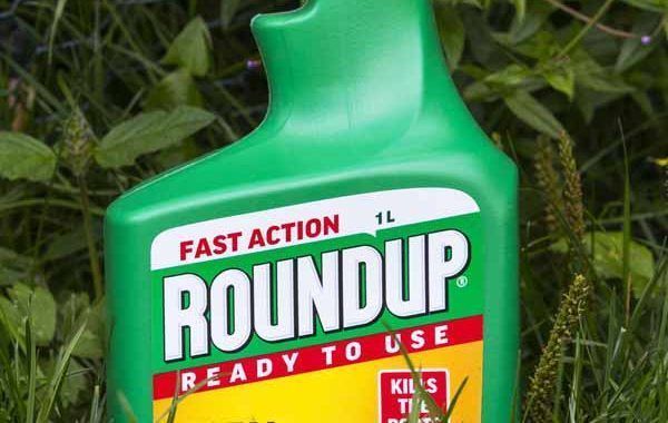 Monsanto, condenada a pagar 289 millones de dólares por los efectos cancerígenos del glifosato