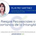 LOS RIESGOS PSICOSOCIALES O LA IMPORTANCIA DE LO INTANGIBLE: