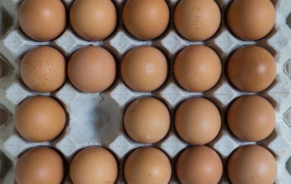 El absentismo laboral material técnico para su gestión