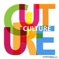 cultura seguridad