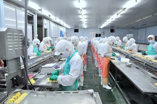 Better Work Vietnam desafía el acoso sexual en las fábricas