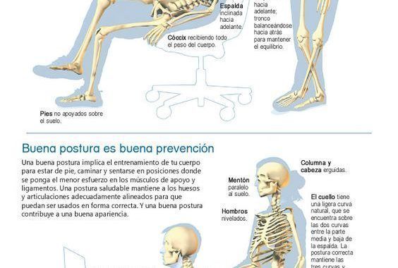 ¿Cuál es la postura correcta en la oficina?