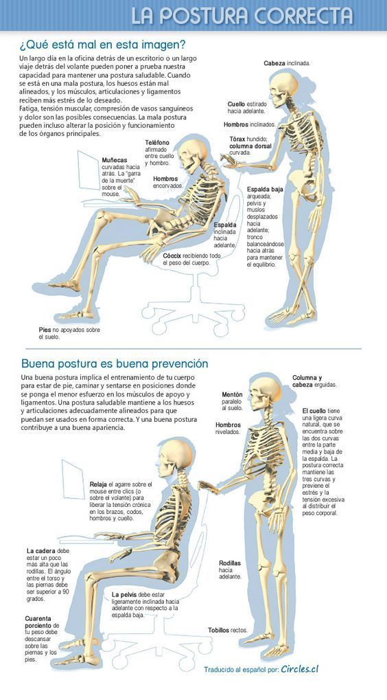 ¿Cuál es la postura correcta en la oficina?