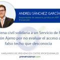 Condena civil solidaria a un SPA por no evaluar el acceso a un falso techo que desconocía