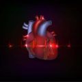 salud cardiovascular