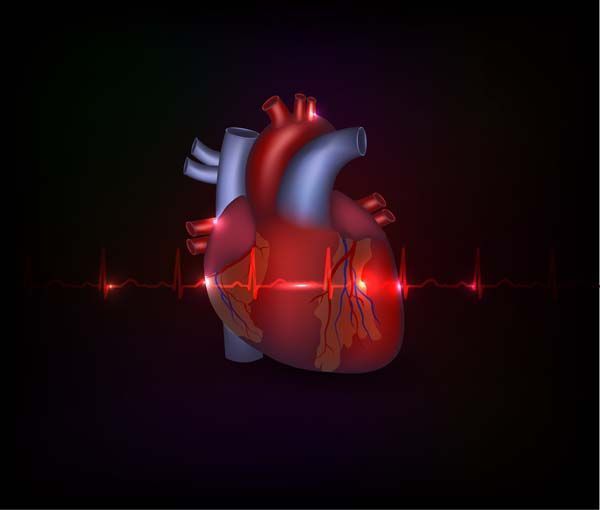 CNIC y Quirónprevención firman un acuerdo para promover la salud cardiovascular