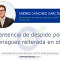 Sentencia de despido por embriaguez reiterada en obra