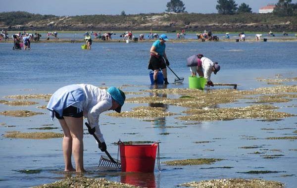 Se reconocen nuevas enfermedades profesionales de las rederas y mariscadoras