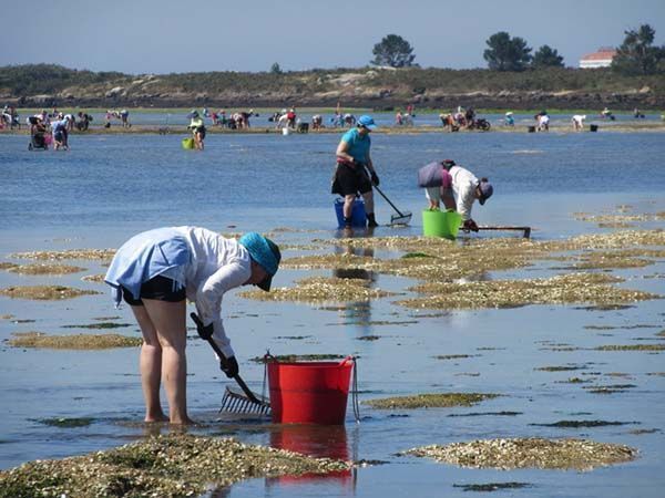 El túnel carpiano será considerado una enfermedad profesional para los mariscadores/as