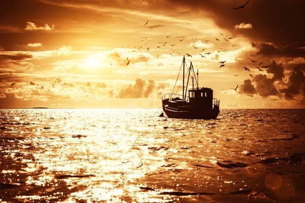 Actualización: Guía técnica para la evaluación y prevención de los riesgos relativos a la utilización de los buques de pesca