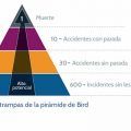 Las trampas de la pirámide de Bird