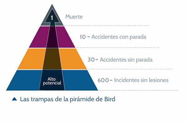 Las trampas de la pirámide de Bird