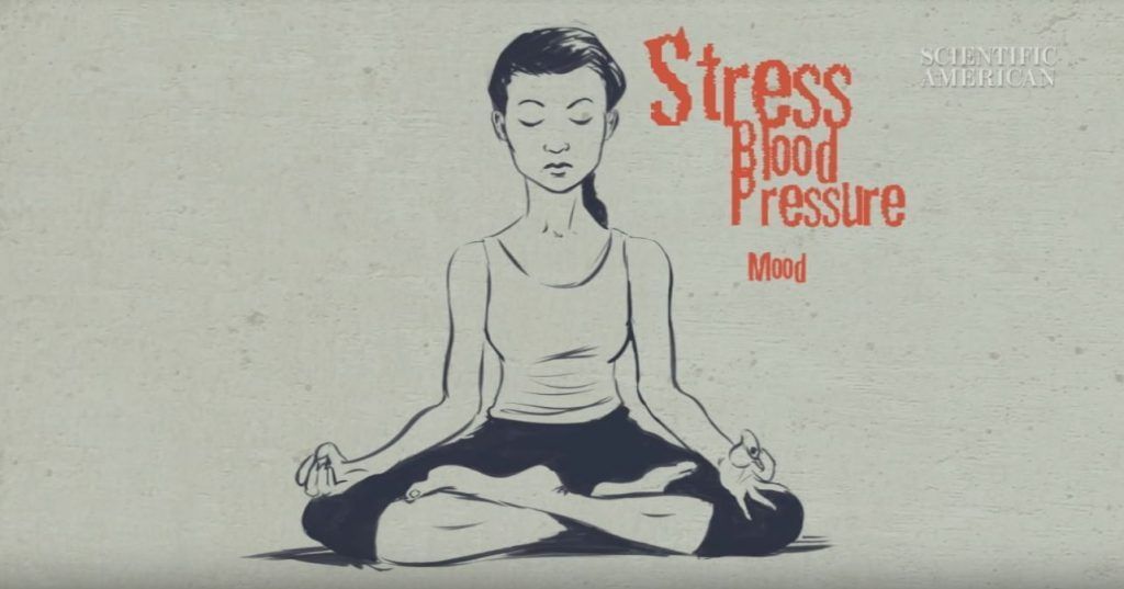 Scientific American ofrece un video animado sobre los beneficios del Mindfulness