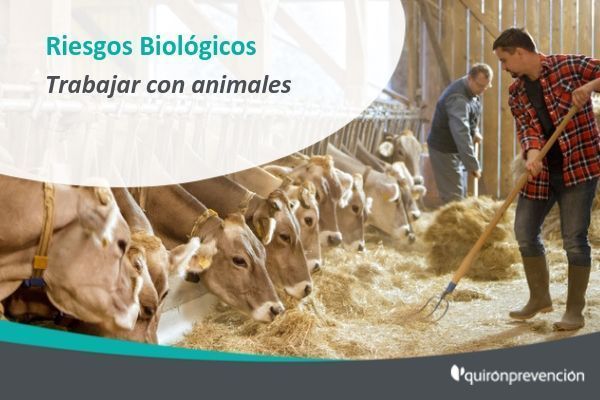 Riesgos Biológicos: Trabajar con animales