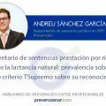 Comentario de sentencias prestación por riesgo durante la lactancia natural: prevalencia sobre IT + cambio criterio TSupremo sobre su reconocimiento