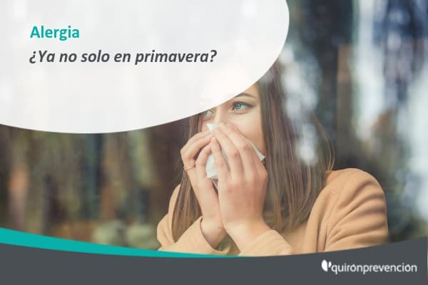 ¿Qué es exactamente la alergia y qué la provoca?