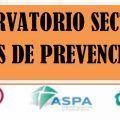 observatorio sectorial servicios