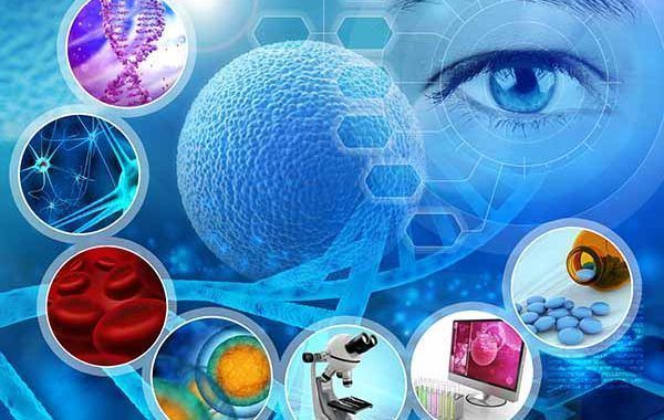 Documento Técnico para la investigación de las enfermedades profesionales
