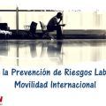 Gestión de la Prevención de Riesgos Laborales en la Movilidad Internacional