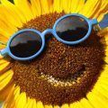 gafas-sol-verano