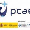 PCAE+