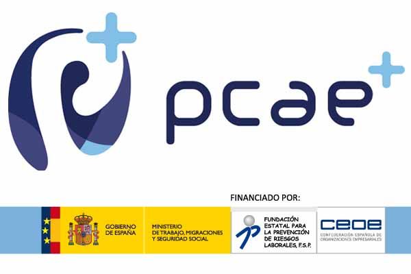 PCAE+