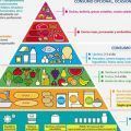 piramide alimenticia