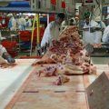 industria_carnica