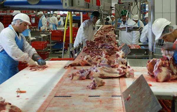 Guía de recomendaciones ergonómicas en la industria cárnica ¡Descárgala!