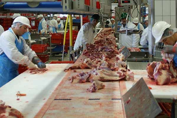 industria_carnica