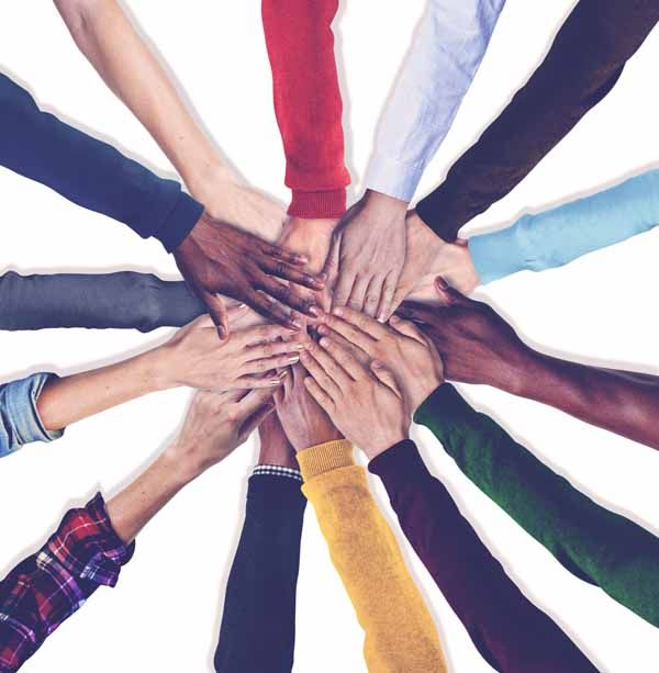participación