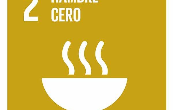 Objetivo 2: Poner fin al hambre, lograr la seguridad alimentaria y la mejora de la nutrición y promover la agricultura sostenible #ODS