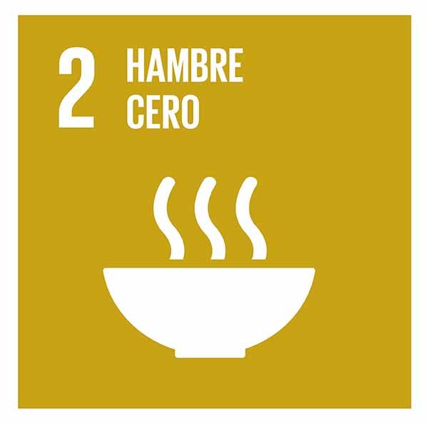 Objetivo 2: Poner fin al hambre, lograr la seguridad alimentaria y la mejora de la nutrición y promover la agricultura sostenible #ODS