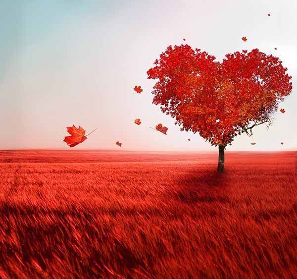 corazón