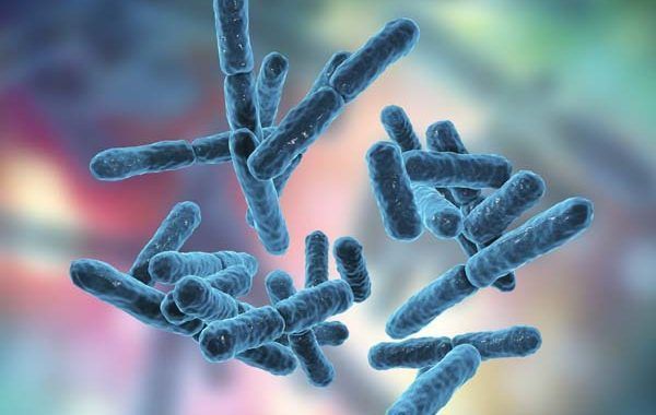 Revisión bibliográfica de la normativa en relación al control microbiológico en centros hospitalarios