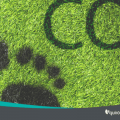 ¿Cómo pueden las empresas reducir la Huella de Carbono?