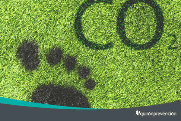 ¿Cómo pueden las empresas reducir la Huella de Carbono?