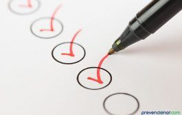 Validación psicométrica de un cuestionario para evaluar el riesgo psicosocial por conflicto de la vida laboral y familiar