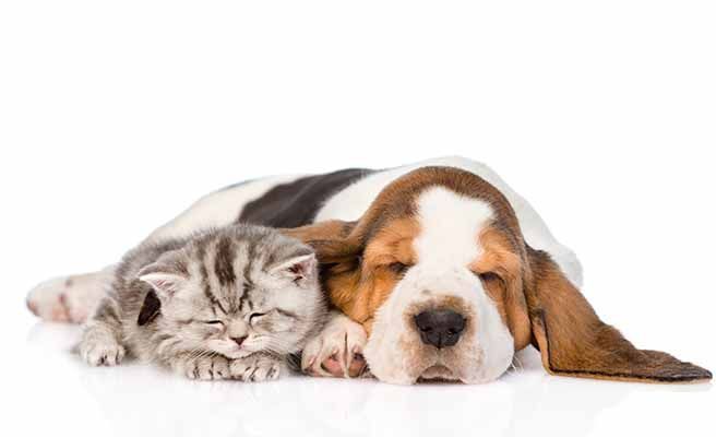Durmiendo con su enemigo