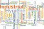 El libro de la Higiene Industrial